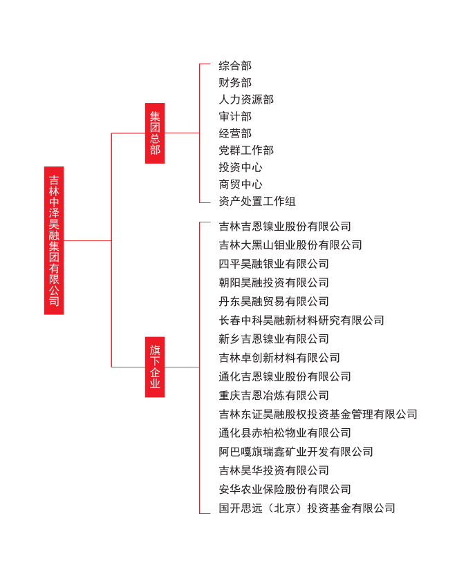 集团架构(图1)